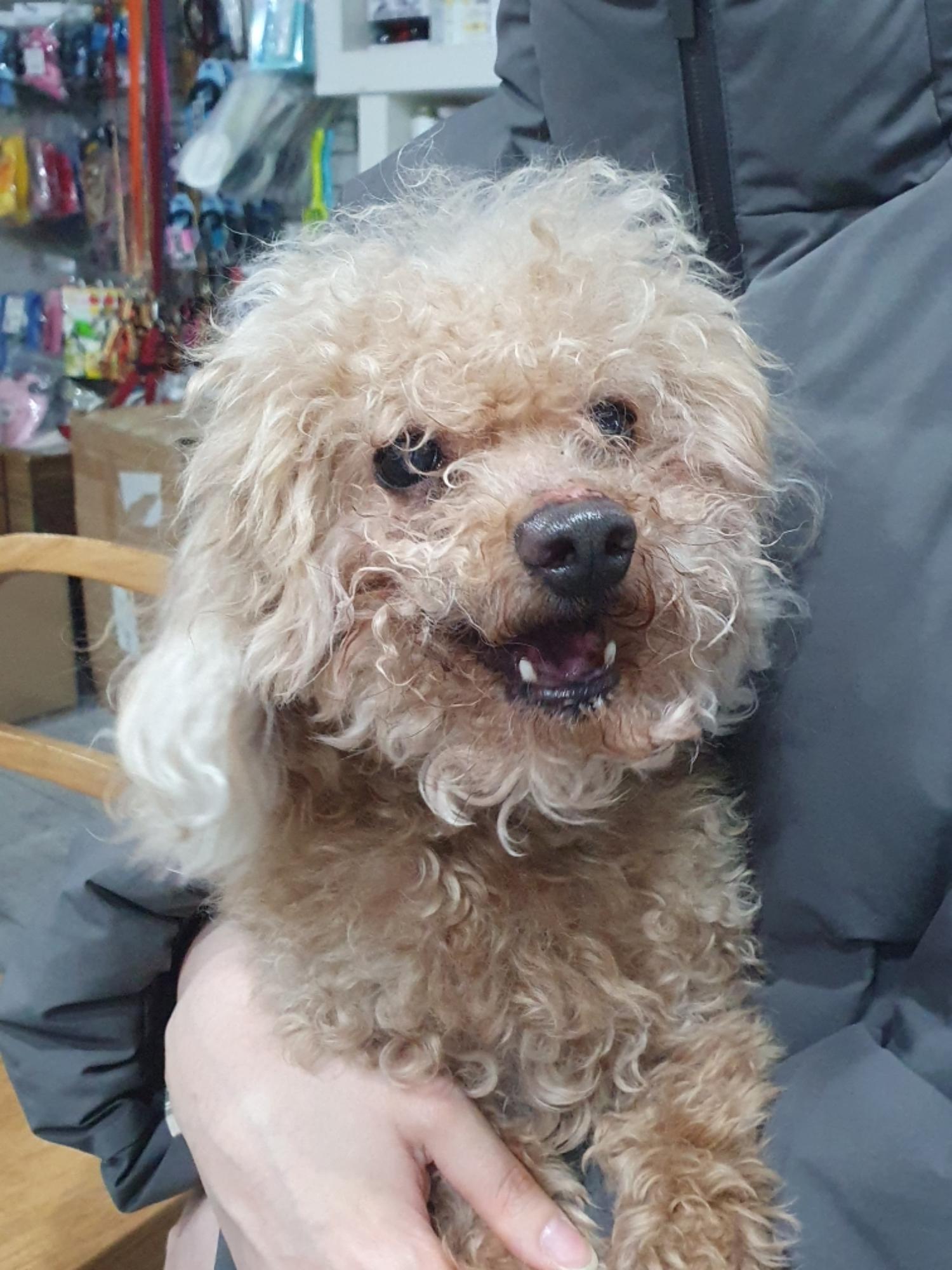 펫앤쉘터동물병원_441378202500150